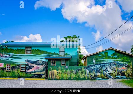 L'edificio Gulf Coast Gator Ranch and Tours presenta un murale di alligatori, il 9 giugno 2021, a Moss Point, Mississippi. Foto Stock