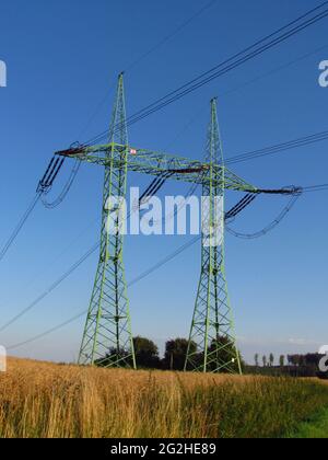 Polo verde di alta tensione elettrica. Distribuzione della corrente elettrica nel paesaggio, elementi industriali in natura Foto Stock