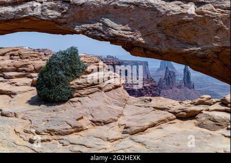 Mesa Arch. Arco in arenaria a picco sulla scogliera che incornicia un'iconica vista dell'alba del paesaggio sottostante del canyon di roccia rossa. Canyonlands National Park, Utah, Stati Uniti Foto Stock