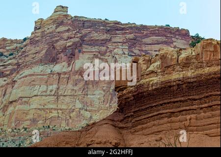 Sulla famosa Scenic Drive nel Capitol Reef National Park, Utah, USA. strada asfaltata di 7.9 km (12.7 miglia), adatta per veicoli passeggeri. Circa un'ora e mezza di andata e ritorno per guidare la Scenic Drive e le due strade sterrate dello sperone, Grand Wash e Capitol Gorge. Queste strade sterrate si inseriscono nei canyon e portano a sentieri, e sono solitamente adatti per autovetture e veicoli fino a 27 metri di lunghezza.accanto alla piramide di Pectols e al Trono d'Oro. Foto Stock