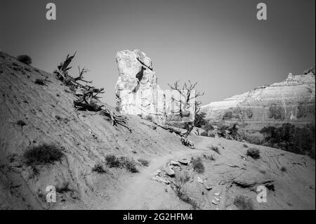 Escursione attraverso l'Angel's Palace Trail nel Kodakchrome Basin state Park, Utah, USA. Foto Stock