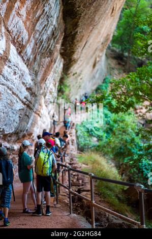 Molte persone al Lower Emerald Pools Trail nel Parco Nazionale di Zion, Utah, USA Foto Stock