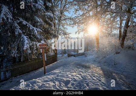 Castello di Augustusburg in inverno Foto Stock