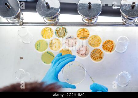 SYNLAB per essere pubblico Foto Stock