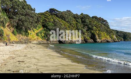 Giovane donna sulla spiaggia di Rawhiti sulla Baia delle Isole, Provincia di Northland, Isola del Nord, Nuova Zelanda Foto Stock