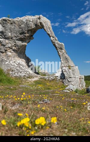 Raukbogen nella riserva naturale di Lergrav, nel nord-est di Gotland, Svezia, isola di Gotland Foto Stock