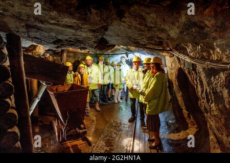 UNESKO Patrimonio Culturale Mondiale: Il paesaggio minerario di Altenberg-Zinnwald nelle montagne di ore orientali Foto Stock