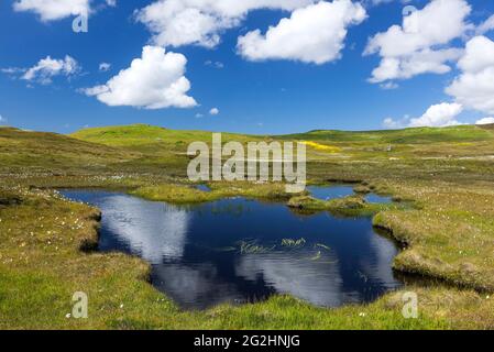 Piccolo lago a Skellister, Nesting, Mainland, Scozia, Shetland Islands Foto Stock