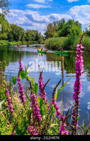 Escursione in acqua da Cottbus a Burg im Spreewald Foto Stock