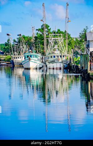 Le barche di gamberetti sono attraccate nel bayou, 9 giugno 2021, in Bayou la Batre, Alabama. L'industria dei frutti di mare è l'industria principale nel piccolo villaggio di pescatori. Foto Stock