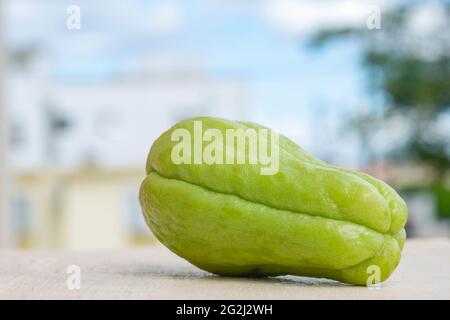 Zucca fresca di chayote verde biologico (modulo Sechium ) Foto Stock