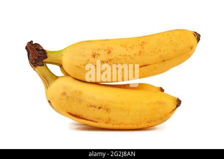 Piccole banane snack isolate su sfondo bianco Foto Stock