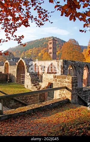 Rovine del monastero di Hirsau, cucina del monastero, chiostro, torre civica, ex monastero benedettino, Costruzione del complesso San Pietro e Paolo alla fine del 11 ° secolo, Calw, quartiere Hirsau, Baden-Württemberg, Germania Foto Stock