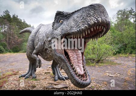 Dinosauro Tyrannosaurus come modello in Dinopark Münchehagen nei pressi di Hannover. Vissuto in Nord America circa 66 milioni di anni fa, era lungo circa 13 m e pesava 6 t. Modello: Wild Creations UK / Universal Pictures DE [M] disturbare altri dinosauri sono stati ritoccati. Foto Stock