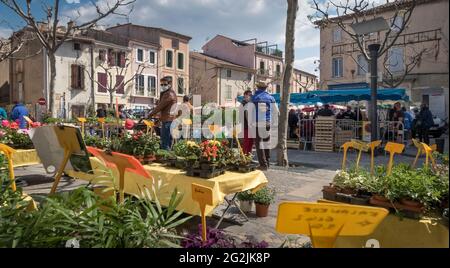 Mercato dei fiori a Coursan in primavera. Foto Stock