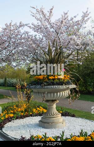 Inghilterra, Londra, Regent's Park, Avenue Gardens, Giant Vase con fiori di primavera e fiori di ciliegia Foto Stock