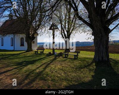 Luogo di culto, cappella, alberi, alberi di tiglio, croce di campo, Croce di pace, bordo della foresta, paesaggio collinare, Ries, cratere Ries, Geopark, Geopark Nazionale, Svevia, Svevia del Nord, Svevia del Nord Foto Stock