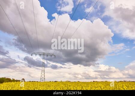 Germania, Meclemburgo-Pomerania occidentale, campo di colza, linea elettrica Foto Stock