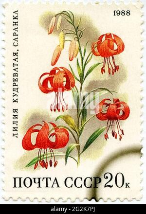 URSS- CIRCA 1988: Un francobollo stampato in Russia mostra il giglio dei Fiori (Lilium Martagon), circa 1988. Foto Stock