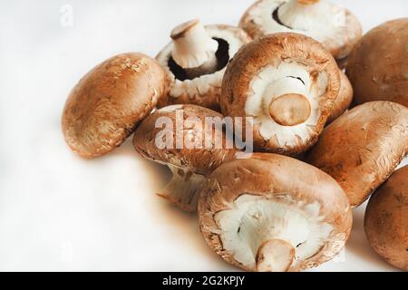 Funghi commestibili, champignons su fondo bianco. Foto Stock