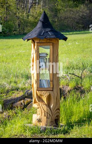 La biblioteca scolpita da un albero con libri per il pubblico in piedi su un prato, la Czechia. Foto Stock
