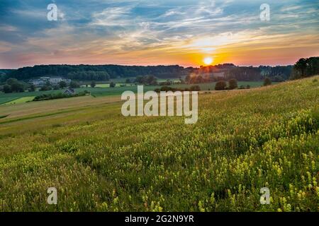 Un tramonto sulle colline ondulate nel sud di Limburgo vicino a Maastricht. Gli ultimi raggi del sole danno un colore dorato sulle colline ed il campo con le orchidee Foto Stock