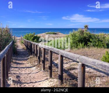 Sentiero in spiaggia: Recinzione tra dune di mare nel Parco delle dune di Campomarino, Puglia (Italia). Foto Stock