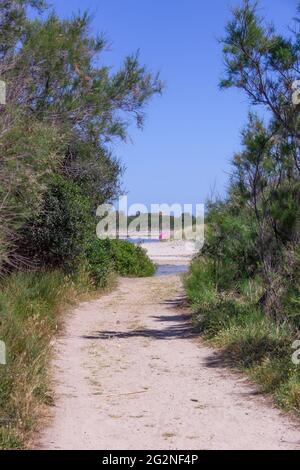 Riserva naturale di Torre Guaceto in Puglia: Santuario naturale tra terra e mare: Foto Stock