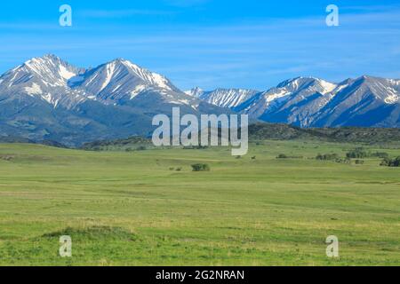 montagne pazzi sopra prateria vicino a grande legname, montana Foto Stock