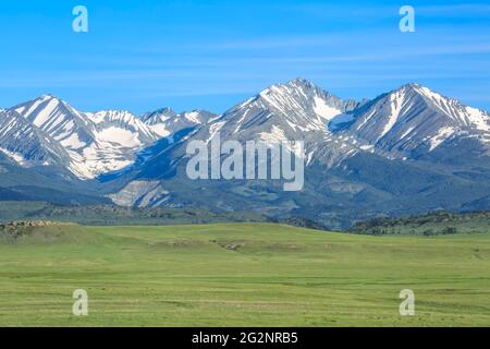 montagne pazzi sopra prateria vicino a grande legname, montana Foto Stock