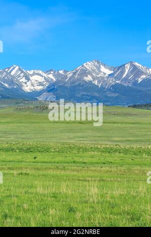 montagne pazzi sopra prateria vicino a grande legname, montana Foto Stock