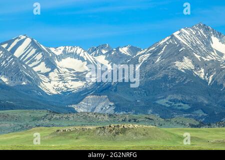 montagne pazzi sopra prateria vicino a grande legname, montana Foto Stock