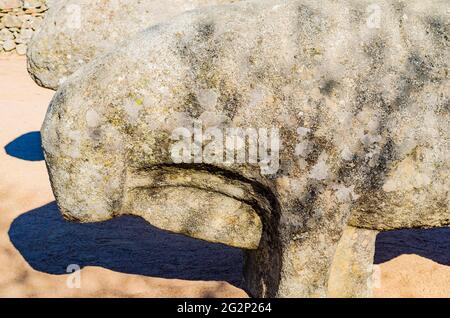 I tori di Guisando, Toros de Guisando, sono un insieme di sculture situate sulla collina di Guisando nel comune di El Tiemblo, Ávila. I quattro s. Foto Stock