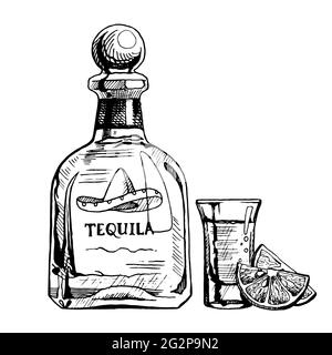 Bottiglia di tequila disegnata a mano con un bicchiere e fette di limone. Illustrazione vettoriale, schizzo dell'inchiostro. Illustrazione Vettoriale