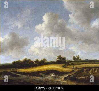 Jacob Van Ruisdael - Paesaggio con un campo di Wheatfield Foto Stock