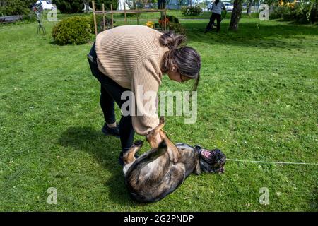 Una ragazza adolescente sta giocando con un felice cucciolo di pastore tedesco di sei mesi. Erba verde e cielo blu sullo sfondo. Linea di lavoro razza Foto Stock