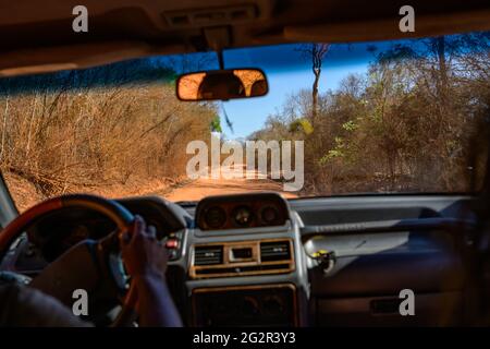 Unterwegs nach tsingy de bemaraha Foto Stock