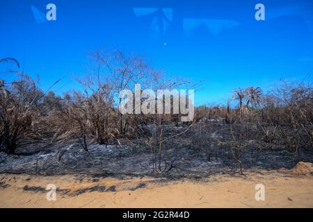 Unterwegs nach tsingy de bemaraha Foto Stock