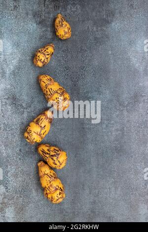 Oca, tubero utilizzato nella cucina peruviana e le Ande americane Foto Stock