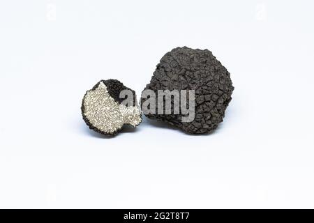 tartufo nero, tuber aestivum, tagliato, a fette, aperto, fotografato su uno sfondo bianco Foto Stock