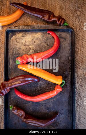 I peperoni Colorul Poivron sono stati prepati su un tavolo di legno per la tostatura in forno Foto Stock