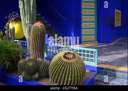 Il Museo YSL e il Giardino Majorelle a Marrakech, Marocco ma Foto Stock