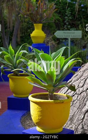 Il Museo YSL e il Giardino Majorelle a Marrakech, Marocco ma Foto Stock