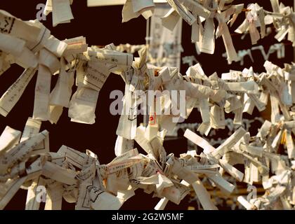 Gli o-mikuji sono fortune casuali scritte su strisce di carta nei santuari Shinto e nei templi buddisti in Giappone. Tempio di Hiroshima Gokoku Jinja shinto, Foto Stock