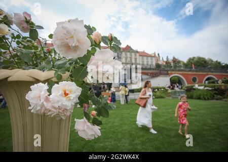 Varsavia, Polonia. 12 giugno 2021. Un gruppo di rose della "Regina di Varsavia" sono esposte alla Mostra dei fiori reali che si tiene al Palazzo reale di Varsavia, Polonia, il 12 giugno 2021. Una nuova razza di rosa è stata battezzata sabato alla Mostra dei Fiori reali durante il 50° anniversario della ricostruzione del Palazzo reale. La "Regina di Varsavia" è una nuova razza di rosa sviluppata da Lukasz Rojewski, un allevatore polacco di fiori e fondatore della Società Polacca delle Rose. Credit: Jaap Arriens/Xinhua/Alamy Live News Foto Stock