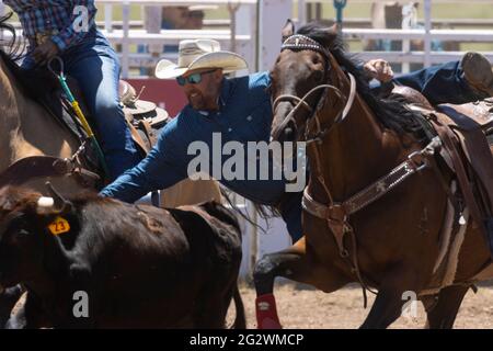 Eventi di rodeo dal rodeo Top of the World 2021, altitudine 9600 metri circa, Cripple Creek Colorado Foto Stock