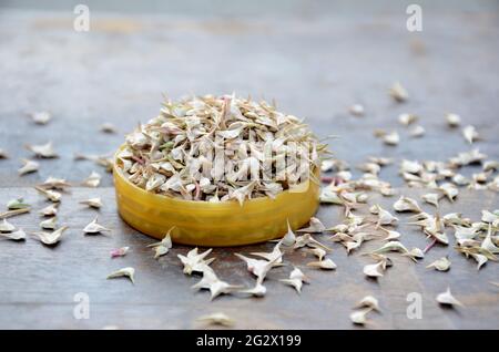 closeup mazzare i semi di spinaci marroni maturi nella ciotola di plastica sopra fuori di fuoco sfondo marrone di legno. Foto Stock