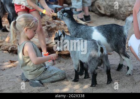 i bambini si preoccupano degli animali, specialmente dei bambini. Foto Stock