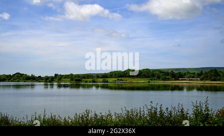 Paesaggio al lago artificiale di Arlington Foto Stock