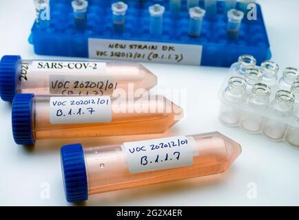 Ricerca di laboratorio nuovo ceppo di sars-COV-2 britannico scientificamente chiamato VOC 202012/01 (B.1.1.7), quadro concettuale Foto Stock